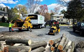 Best Arborist Consultation Services  in West Wood, UT